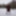 Pregnant flashing naked in the cold snow #53