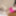 FEMOUT.XXX: Taking It To The Maxima #3