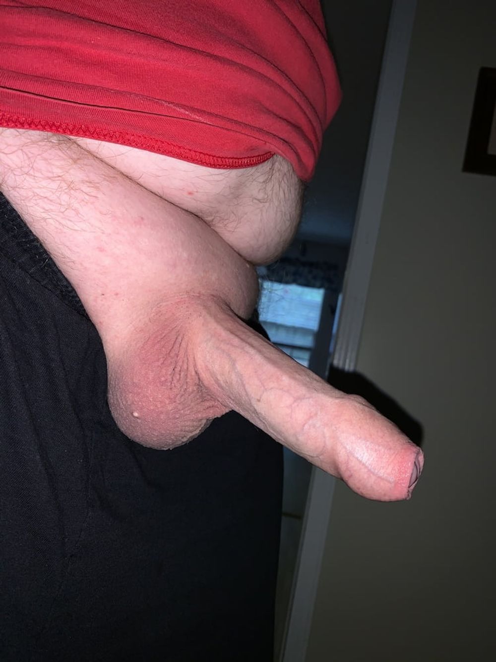 Cock #12