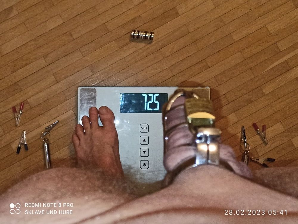 weighing, cagecheck nippleclamp  of 28.02.2023 #9