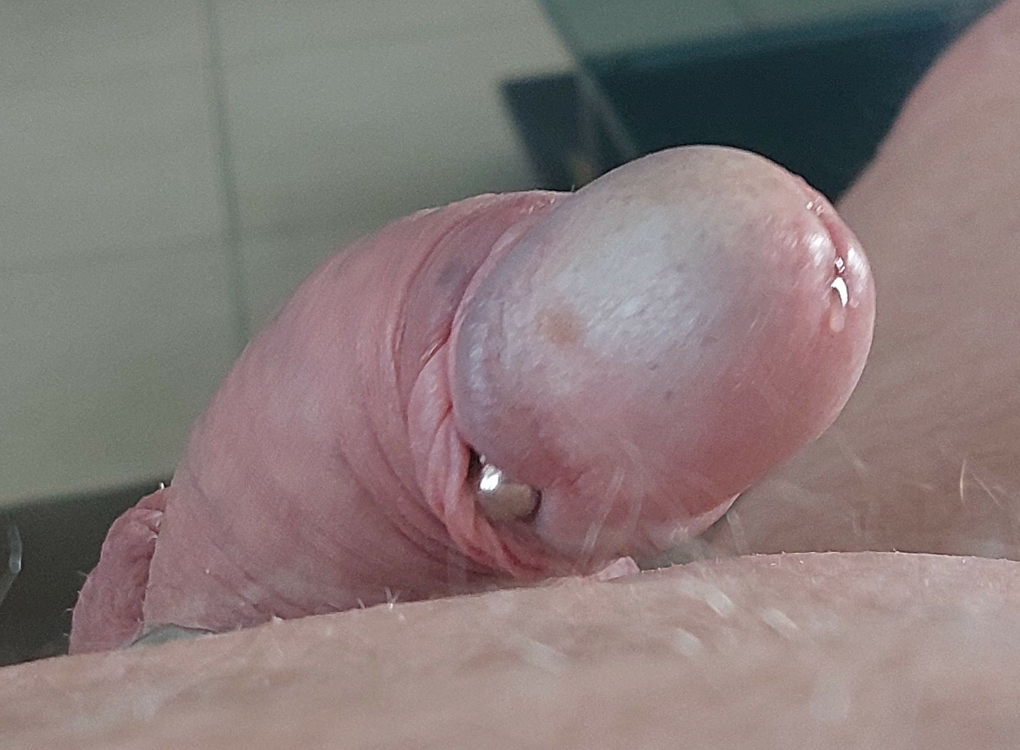 Small ringed dick