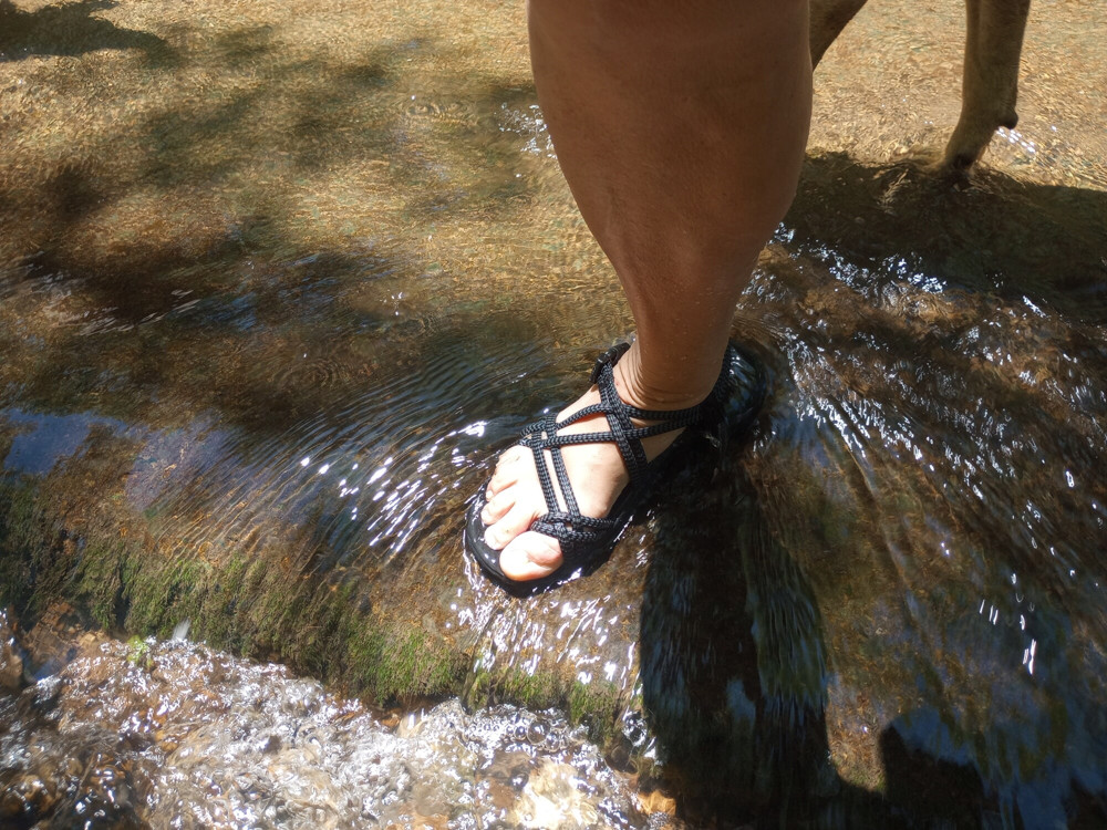 Getting our feet wet