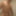 Imnudeforu 