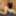 BLOWJOB - EATING PUSSY AND DOGGY STYLE 