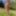 Naked outdoors fun