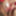 I AM A SLUT FUCK ME HARD #4