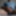 My cock and cumshots 3 #14
