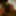 Random photos of my Dick