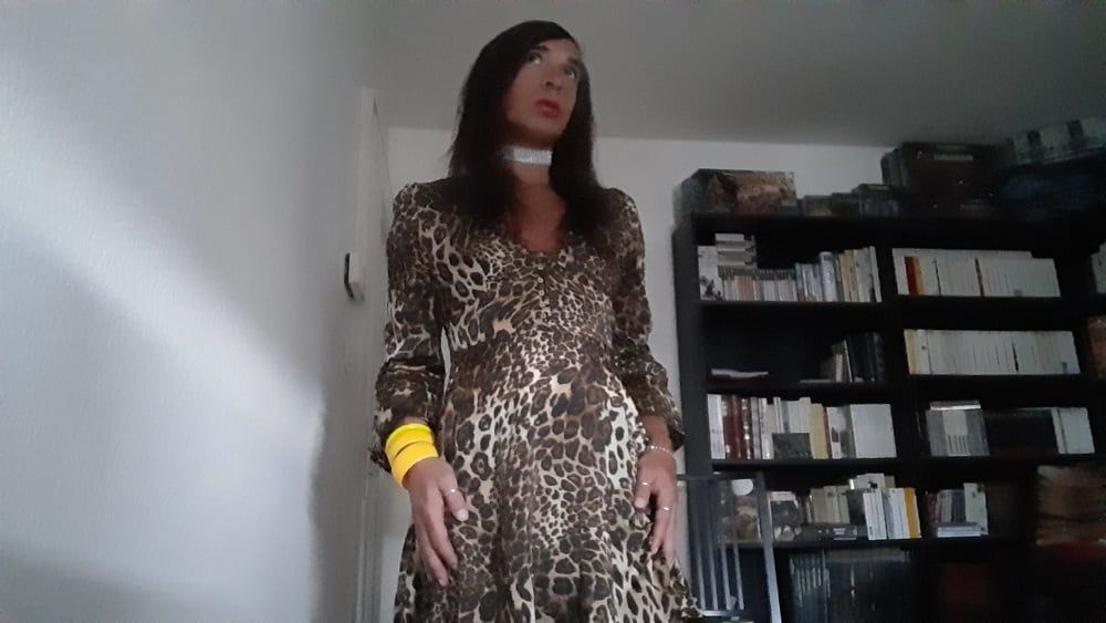 Sissy Tygra in leopard dress on 2019 octobre. #33