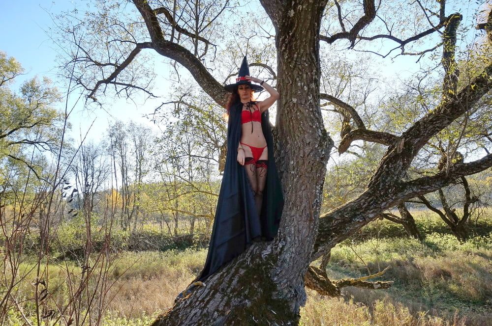 Witch on the Tree #48