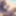furry cat on beach (Ai models) #6
