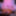 4k Everything Msnovember #3 Creampie Nipple BDSM Blowjob Ass #4