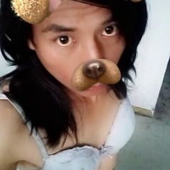 Galeria Snap