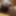 Hairy cock pictures 1 #4