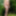 2021 Outdoor fun #11