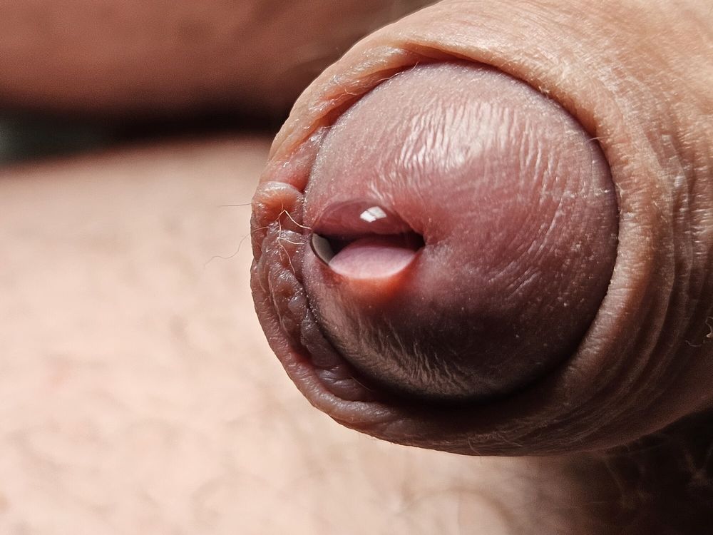 Dripping cock  #2