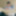 白ビレギンスの励起