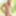 Naked in Sextermedia