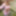 Amateur Crossdresser Kellycd2022 sexy milf in stockings  #10