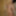 Kinky beauty masturbates in the shower for me #52