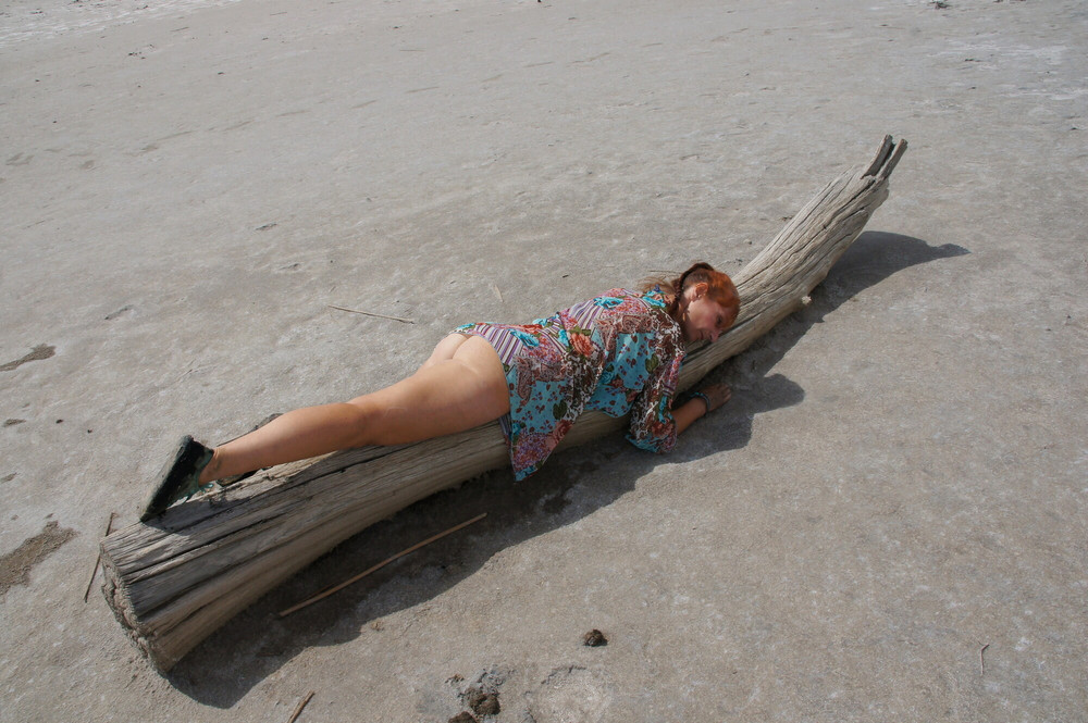 On log in desert