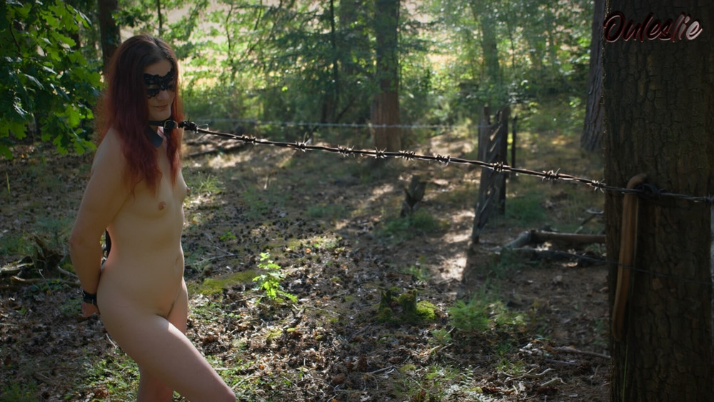 beautiful in the forest #11