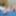 Micropenis and Tiny Cock Pictures 