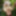 Wanking in the woods #21