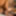 Sperma_Brunch #7