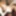 Lesbian teen girl visits mom-next-door PART 2 #14