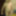 10 mil visualizacoes no meu perfil to gostando 