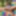 Free VIBEWITHMOMMY Photos