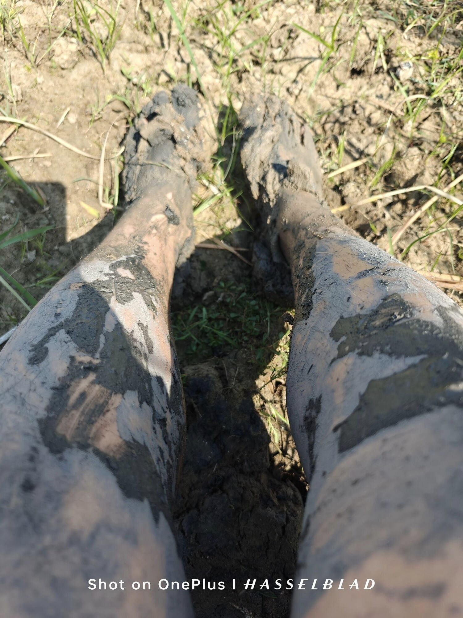 Muddy Feet and Solo #15