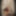 Linda asian ts champagne and big black pearl dildo #22