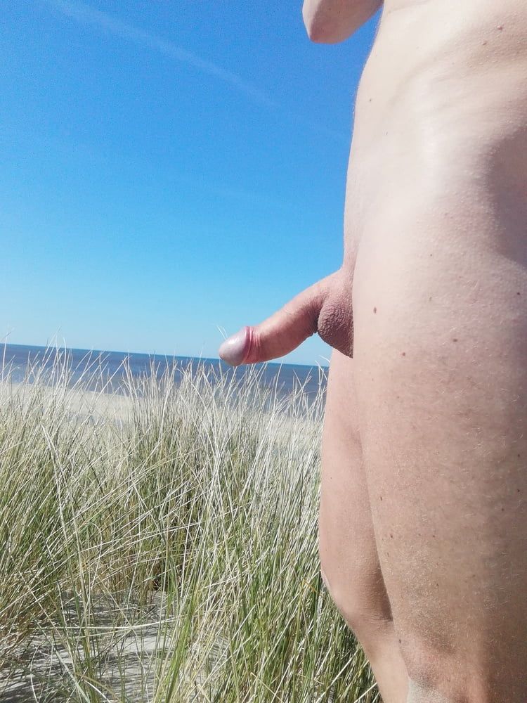 Nude walking in the Dutch dunes #7