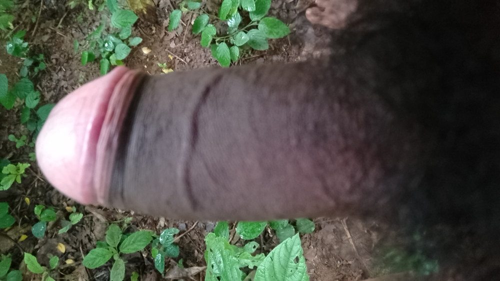 Black dick in jungle 