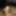 Pics of my cock 