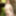 Maki Koizumi in the japanese hot springs