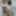 __Elis___ Free Photos