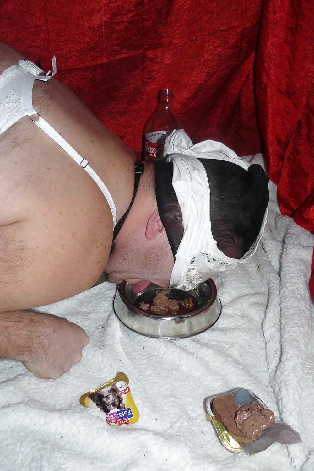 sissy-doggie eat dogfood for Mistress Celine #16