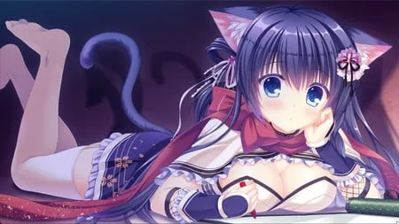 lets play neko nin exheart         