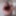 Tygra sissy big cock and ass pov.