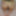 Fuck Toy Pics #23