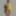 Indian desi beautiful sex bhabhi