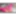 PUSSY GIFs