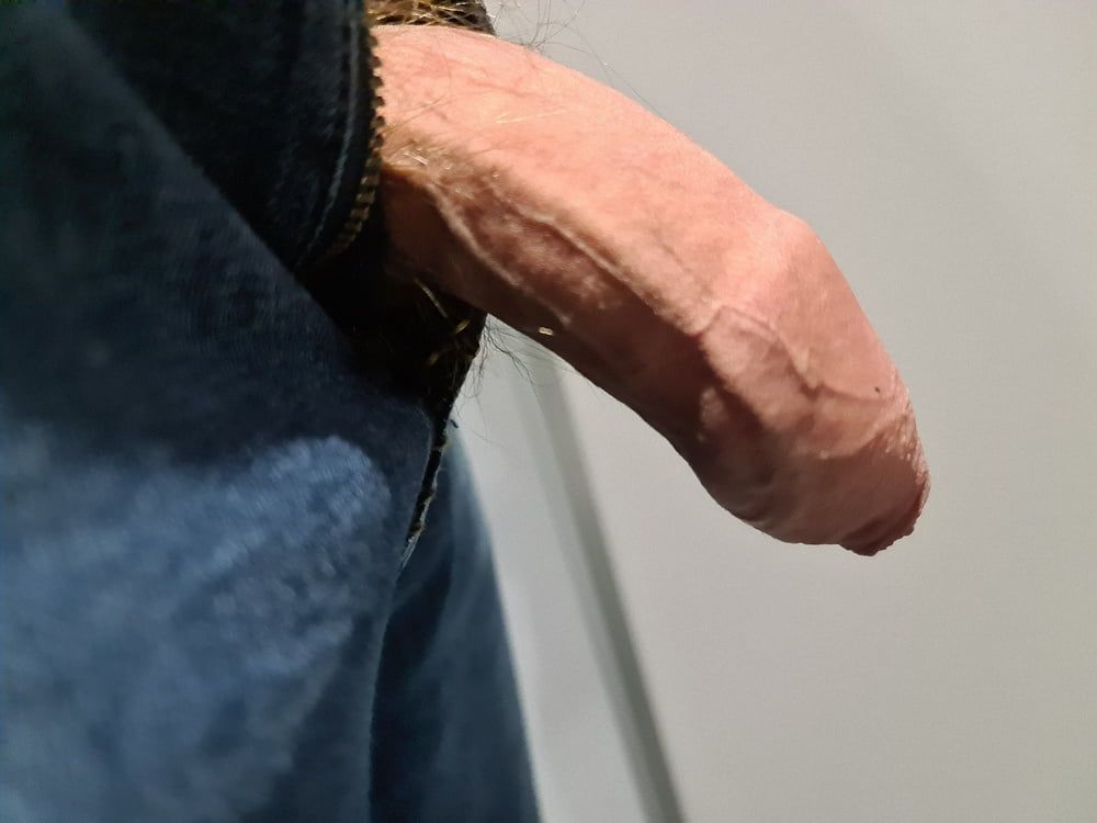 My Swiss Dick on Public Train #4