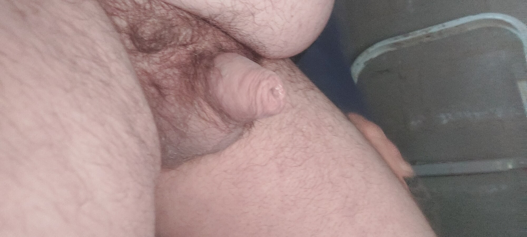 Micro penis #4