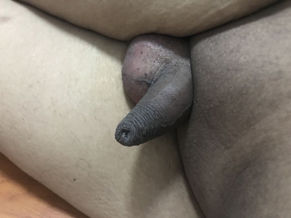 Chubby small dick amateur  #29