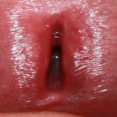 Close up dick