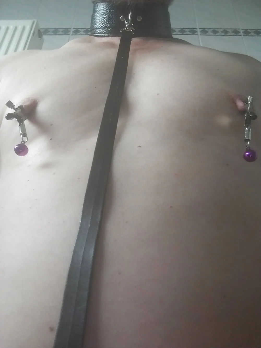 Nippleplay with Clamps #10